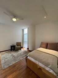 The Colonnade (D10), Condominium #478205831